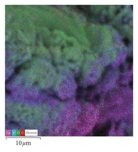 elemental mapping showing  elemental distribution   composite