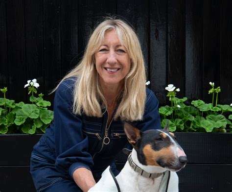 Here's How To Keep Dogs Nice and Cool in the Car on Hot Summer Days