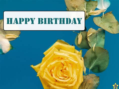 20 Happy Birthday Yellow Roses Images And Pics