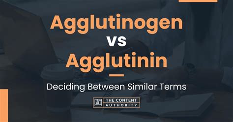 Agglutinogen vs Agglutinin: Deciding Between Similar Terms