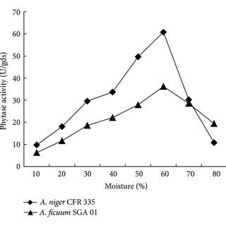 Effect Of Temperature On Phytase Production By Aspergillus Niger CFR