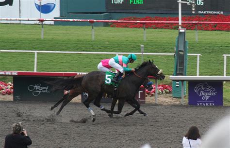 Watch 75 Years of Hollywood Park History Go Up In Dust | HORSE NATION