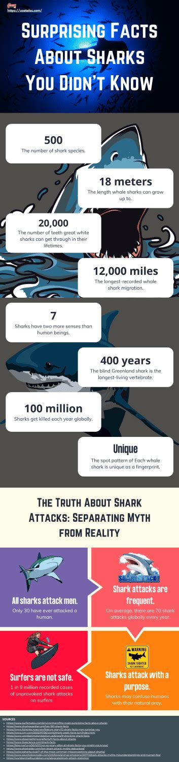 How Fast Can Sharks Swim? Top 5 Fastest Shark Species