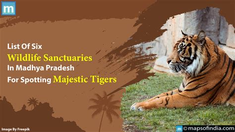 List Of Six Wildlife Sanctuaries In Madhya Pradesh For Spotting