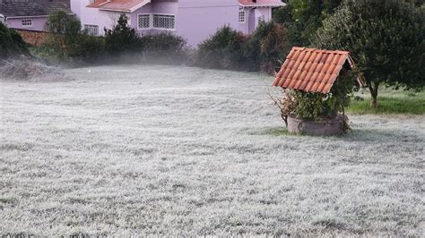 Serra Catarinense amanhece coberta de branco Olivete Salmória