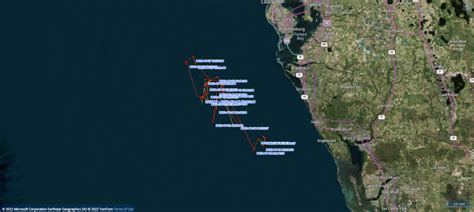 Assessing The Health Of Offshore Dolphins Sarasota Dolphin Research