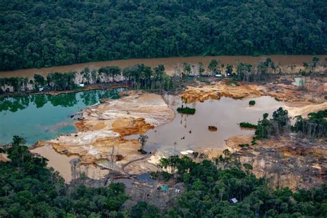 Folha De S Paulo Garimpo Ilegal E Devasta O Crescem Na Terra