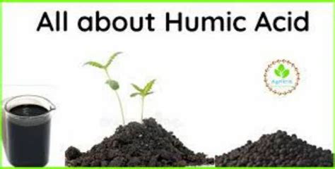 Humic Acid Humic Powder Insoluble Manufacturer From Pune