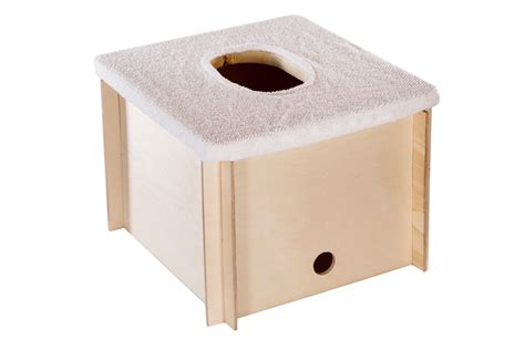 Yoni Steaming Box Yoni Steam Sauna Vaginal Steaming Box - Etsy