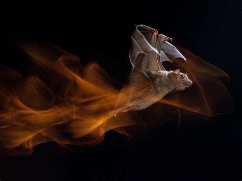 NAT GEO * Nat Geo's most compelling images of the 21st century (so far)