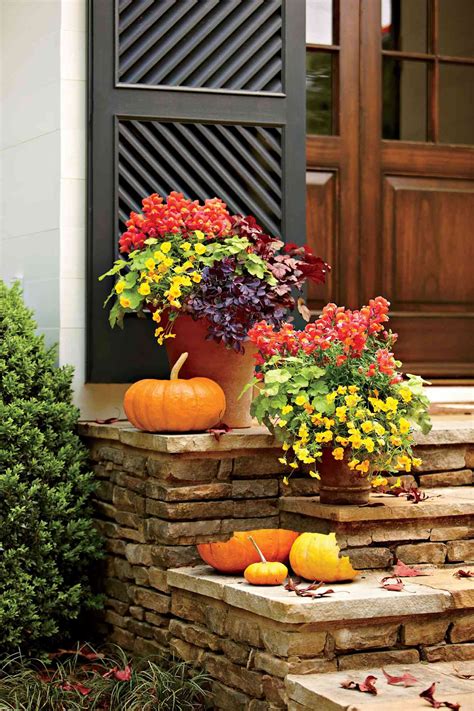 35 Fall Container Gardening Ideas