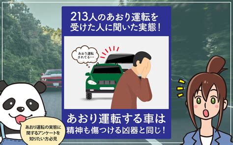 213人のあおり運転を受けた人に聞いた実態！あおり運転する車は、精神も傷つける凶器と同じ！ 車買取データベース｜中古車売買バイブル