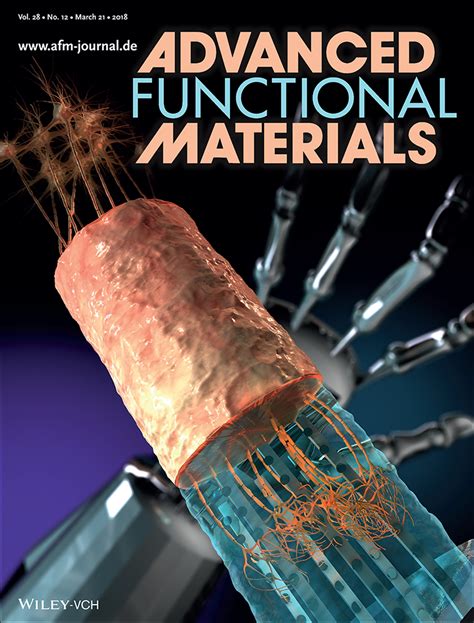 Neural Interfaces: Tissue‐Engineered Peripheral Nerve Interfaces (Adv