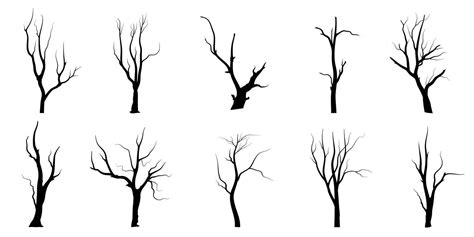 Black Branch Tree Or Naked Trees Silhouettes Set Hand Drawn Isolated Illustrations 23479317