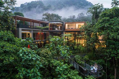 6 Beautiful Rain Forest Hotels With Incredible Views And Wildlife