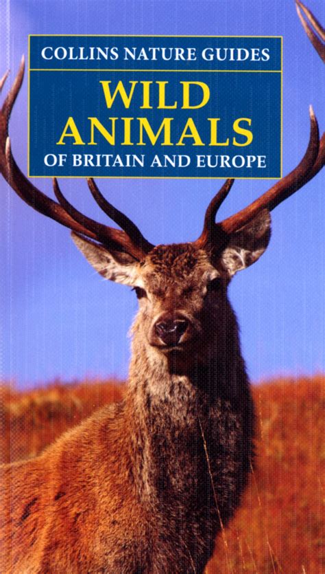 Collins Nature Guides Wild Animals - Bittern Books