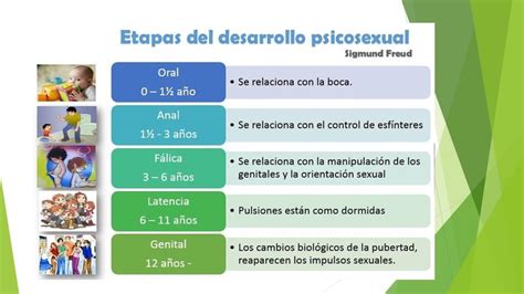 Psicolog A Evolutiva Teoria De Freud Etapas Del Desarrollo Imagenes