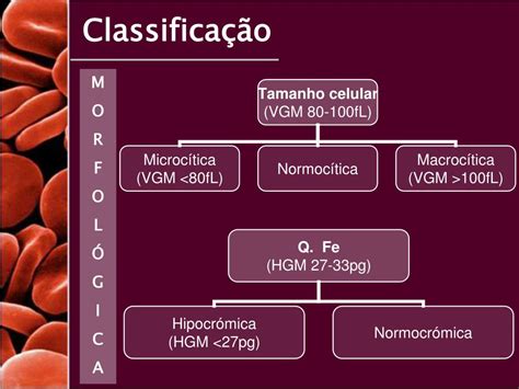 Cid Anemia A Esclarecer - Cid Anemia A Esclarecer - RETOEDU