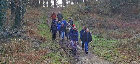 Dorset Group 14Jan24 The Heaths And Woods Around Bere Regis Gay Outdoor Club