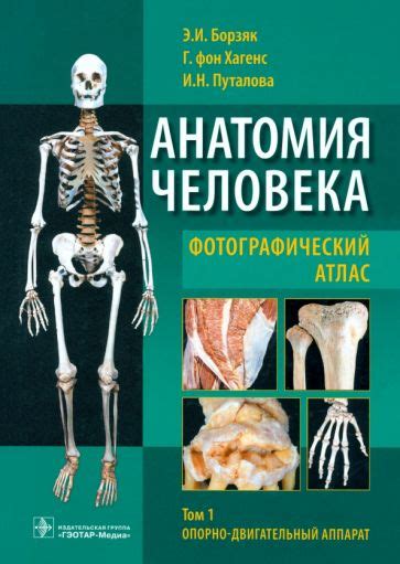 Книга: "Анатомия человека. Атлас. В 3-х томах. Том 2. Внутренние органы ...