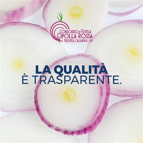 La Cipolla Rossa Di Tropea Igp Protagonista Al Macfrut Notizie