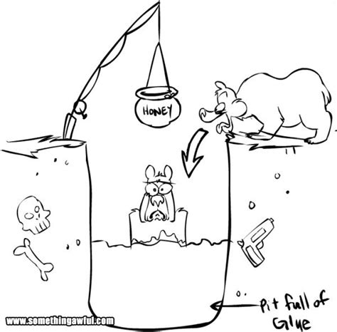 Unconventional Ways To Trap A Bear