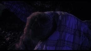 Jodi Lazarus Nude Aznude