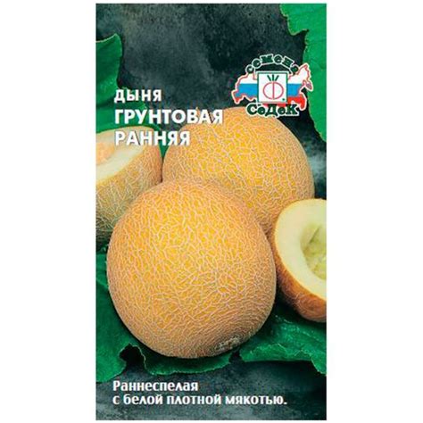 Семена Дыня Ранняя Грунтовая 0,5 г купить в Москве по низкой цене ...
