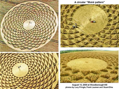 Some of the best artistic images in crop-circle history: you can send ...