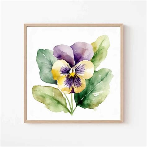 Free Botanical Floral Drawings Flowers Of The Spring Season