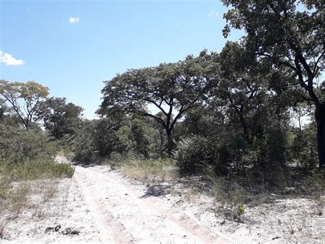 Pre Visitation Trip To Kavango And Zambezi Regions Thnk Namibia News