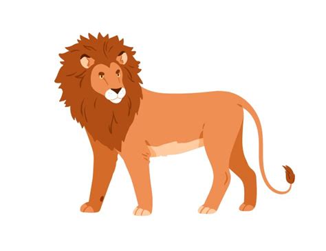 Lion Side View Vector Images Over 280