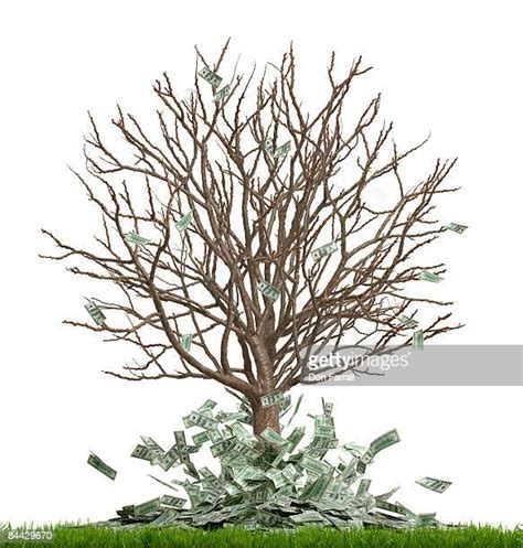 Money Falling From Tree Stock Fotos Und Bilder Getty Images