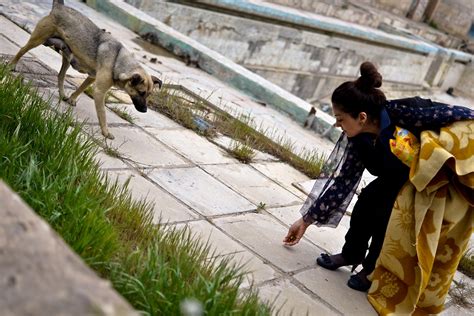 Azerbaijan: Saving Stray Animals with Facebook | Eurasianet