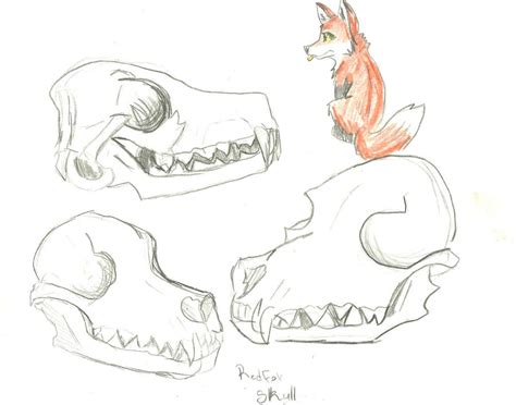Red Fox Skull By Annakitsun3 On Deviantart