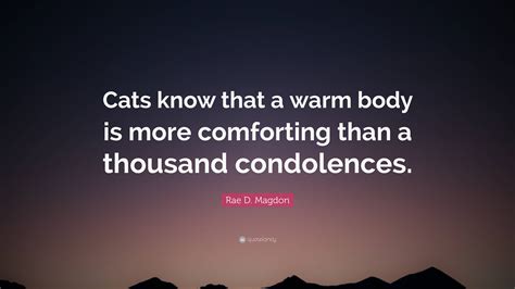 Rae D Magdon Quote “cats Know That A Warm Body Is More Comforting