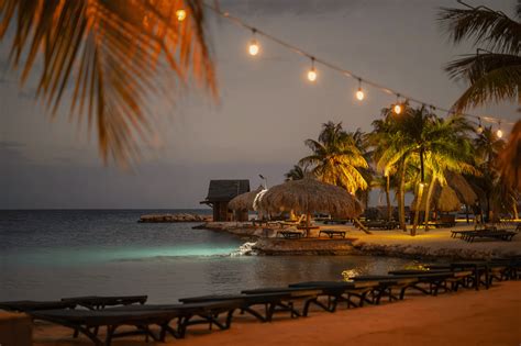 A Diving Sanctuary Found at LionsDive Beach Resort Curaçao