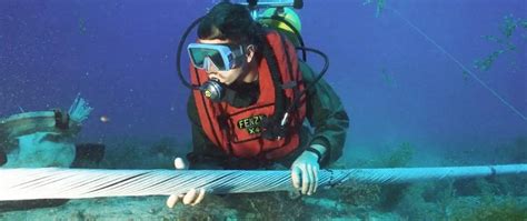 Undersea Cable Damage: Repairs May Last Over One Month – MainOneUndersea Cable Damage: Repairs ...