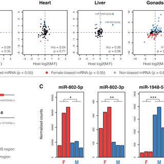 Sex Biased MiRNA Expression In Mouse Opossum And Chicken