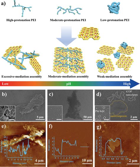 Preparation and morphology of nanocomposites in different modes. a ...