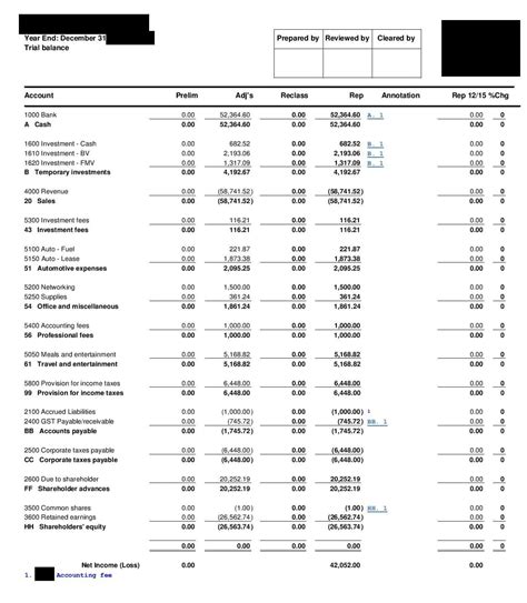 trial balance overview whats included  examples