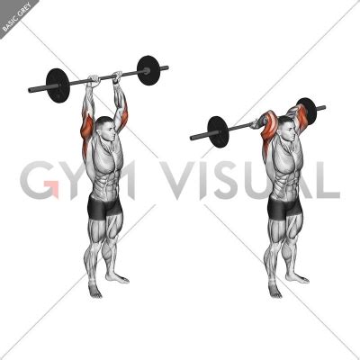 Barbell Standing Overhead Triceps Extension