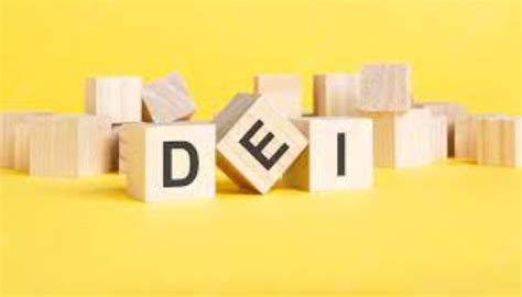 india fared  terms  dei write canvas