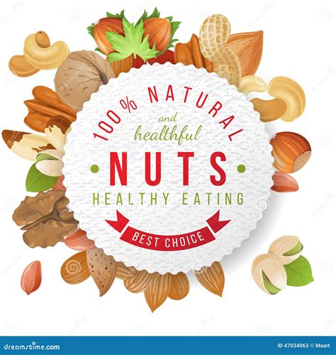 Nuts Label With Type Design Stock Vector Illustration Of Eating