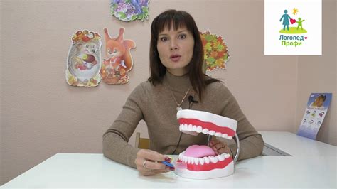 Как пользоваться вестибулярными пластинками. Стандартный вариант - YouTube