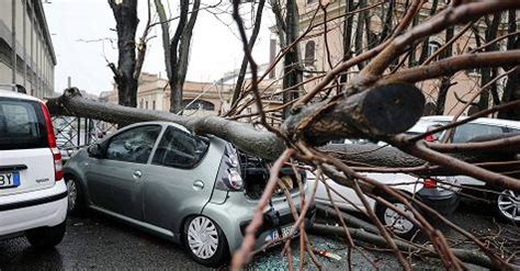 Maltempo A Roma Albero Cade Su Auto Ferita La Donna A Bordo Rai News