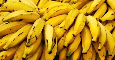 Banana E Bom Para Caimbra - Banana para cãibra: veja qual o melhor tipo e como consumir