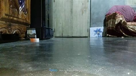 Free Indian Shemale Fucks Girl Porn Videos Xhamster