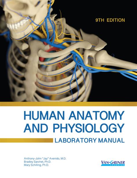 Anatomy And Physiology BIO 211 Laboratory Manual Van Griner Learning