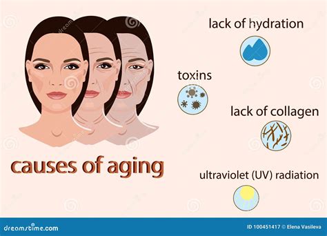 Causas Del Envejecimiento Del Ejemplo Del Vector Con Dos Caras Y De Pequeñas Imágenes